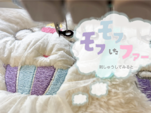 blog_TitleImage